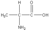 <strong>Which of the following is an amino acid?</strong> A) B) C) D) E)