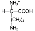 <strong>When L-lysine (R = −(CH<sub>2</sub>)<sub>4</sub>NH<sub>2</sub>)is reacted with a large excess of strong base,which of the following ions is the predominant species in solution?</strong> A) B) C) D) E)