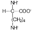 <strong>When L-lysine (R = −(CH<sub>2</sub>)<sub>4</sub>NH<sub>2</sub>)is reacted with a large excess of strong base,which of the following ions is the predominant species in solution?</strong> A) B) C) D) E)