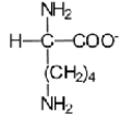 <strong>Near a pH of 5.5,L-lysine (R = −(CH<sub>2</sub>)<sub>4</sub>NH<sub>2</sub>)the major species in aqueous solution is the diprotonated zwitterion.Given the following acid dissociation constants,what is the correct structure of the zwitterion? Functional Group K<sub>a</sub> Carboxylic acid 1)7 x10<sup>-2</sup> Amine 8)5 x10<sup>-10</sup> Side chain amine 1)51 x10<sup>-11</sup></strong> A) B) C) D) E)