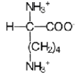 <strong>Near a pH of 5.5,L-lysine (R = −(CH<sub>2</sub>)<sub>4</sub>NH<sub>2</sub>)the major species in aqueous solution is the diprotonated zwitterion.Given the following acid dissociation constants,what is the correct structure of the zwitterion? Functional Group K<sub>a</sub> Carboxylic acid 1)7 x10<sup>-2</sup> Amine 8)5 x10<sup>-10</sup> Side chain amine 1)51 x10<sup>-11</sup></strong> A) B) C) D) E)