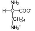 <strong>Near a pH of 5.5,L-lysine (R = −(CH<sub>2</sub>)<sub>4</sub>NH<sub>2</sub>)the major species in aqueous solution is the diprotonated zwitterion.Given the following acid dissociation constants,what is the correct structure of the zwitterion? Functional Group K<sub>a</sub> Carboxylic acid 1)7 x10<sup>-2</sup> Amine 8)5 x10<sup>-10</sup> Side chain amine 1)51 x10<sup>-11</sup></strong> A) B) C) D) E)