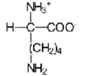 <strong>Near a pH of 5.5,L-lysine (R = −(CH<sub>2</sub>)<sub>4</sub>NH<sub>2</sub>)the major species in aqueous solution is the diprotonated zwitterion.Given the following acid dissociation constants,what is the correct structure of the zwitterion? Functional Group K<sub>a</sub> Carboxylic acid 1)7 x10<sup>-2</sup> Amine 8)5 x10<sup>-10</sup> Side chain amine 1)51 x10<sup>-11</sup></strong> A) B) C) D) E)
