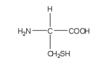 <strong>Which of the following structures is the best representation for the amino acid alanine under physiological conditions?</strong> A) B) C) D) E)