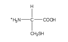 <strong>Which of the following structures is the best representation for the amino acid alanine under physiological conditions?</strong> A) B) C) D) E)
