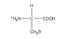 <strong>Which of the following structures is the best representation for the amino acid alanine under physiological conditions?</strong> A) B) C) D) E)