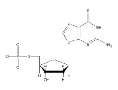 <strong>Which of the following 2'-deoxynucleotides contains the base thymine?</strong> A) B) C) D) E)