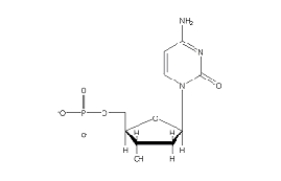<strong>Which of the following 2'-deoxynucleotides contains the base thymine?</strong> A) B) C) D) E)