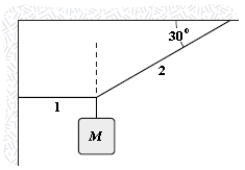 <strong>If M = 2.0 kg,what is the tension in string 1? </strong> A)1.2 N B)11 N C)34 N D)3.5 N E)40 N