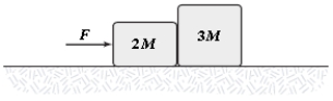 <strong>The coefficient of kinetic friction between the surface and the larger block is 0.25,and the coefficient of kinetic friction between the surface and the smaller block is 0.40.If F = 22N and M = 1.0 kg in the figure,what is the magnitude of the acceleration of either block? </strong> A)1.8 m/s<sup>2</sup> B)2.6 m/s<sup>2</sup> C)1.4 m/s<sup>2</sup> D)2.2 m/s<sup>2</sup> E)3.7 m/s<sup>2</sup>