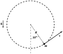 <strong>A 4.0-kg mass attached to the end of a string swings in a vertical circle of radius 2.0 m.When the string makes an angle of 35° with the vertical as shown,the speed of the mass is 5.0 m/s.At this instant what is the magnitude of the force the string exerts on the mass? </strong> A)50 N B)82 N C)89 N D)11 N E)61 N