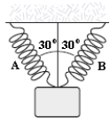 <strong>Two identical springs with spring constant 50 N/m support a 5.0 N weight as in the picture below.What is the change in length of each spring when the weight is hung on the springs? </strong> A)2.9 cm B)5.0 cm C)5.8 cm D)7.5 cm E)10.0 cm