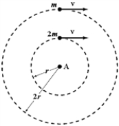 <strong>Two objects of mass m<sub>1</sub> = 2m and m<sub>2</sub> = m move around a rotation axis A in parallel circles of radii r<sub>1</sub> = r and r<sub>2</sub> = 2r with equal tangential speeds.As they rotate,forces of equal magnitude are applied opposite to their velocities to stop them.Which statement is correct? </strong> A)m<sub>2</sub> will stop first because it has the larger initial angular velocity. B)m<sub>1</sub> will stop first because it has the smaller radius. C)m<sub>2</sub> will stop first because the torque on it is greater. D)m<sub>1</sub> will stop first because it has the smaller moment of inertia. E)Both objects will stop at the same time because the angular accelerations are equal.
