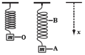 <strong>A weight of mass m is at rest at O when suspended from a spring,as shown.When it is pulled down and released,it oscillates between positions A and B.Which statement about the system consisting of the spring and the mass is correct? </strong> A)The gravitational potential energy of the system is greatest at A. B)The elastic potential energy of the system is greatest at O. C)The rate of change of momentum has its greatest magnitude at A and B. D)The rate of change of gravitational potential energy is smallest at O. E)The rate of change of gravitational potential energy has its greatest magnitude at A and B.