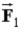 <strong>Two charged particles,Q<sub>1</sub> and Q<sub>2</sub>,are a distance r apart with Q<sub>2</sub> = 5Q<sub>1</sub>.Compare the forces they exert on one another when Is the force Q<sub>2</sub> exerts on Q<sub>1</sub> and Is the force Q<sub>1</sub> exerts on Q<sub>2</sub>.</strong> A) = 5 . B) = −5 . C) = . D) = − . E)5 = .