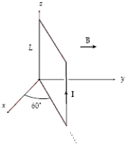<strong>A square loop (L = 0.20 m)consists of 50 closely wrapped turns,each carrying a current of 0.50 A.The loop is oriented as shown in a uniform magnetic field of 0.40 T directed in the positive y direction.What is the magnitude of the torque on the loop? </strong> A)0.21 N ⋅ m B)0.20 N ⋅ m C)0.35 N ⋅ m D)0.12 N ⋅ m E)1.73 N ⋅ m