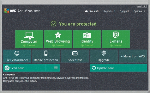 <strong> As shown in the accompanying figure, which of the following kinds of program protects a computer against viruses by identifying and removing any computer viruses found in memory, on storage media, or on incoming files?</strong> A)hoax B)secure C)antivirus D)antispyware
