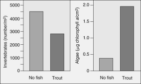 <strong>The following figure shows studies in a stream where enclosures were setup either with trout or with no trout.Which statement is a correct interpretation of the graph about trout,invertebrates,and algae? </strong> A)If trout are present in a system,alga production is low and invertebrate population levels are also low. B)If trout are present in a system,alga production is high and invertebrate population levels are also high. C)If trout are present in a system,alga production is high and invertebrate population levels are low. D)Trout do not seem to affect the alga production;only the invertebrate populations are affecteD. E)Trout do affect the alga production but not the invertebrate populations.