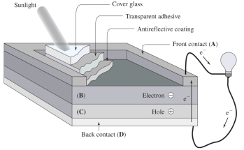 <strong>In this photovoltaic (solar)cell, The n-type semiconductor is in the region labeled</strong> A)A B)B C)C D)D