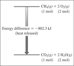 <strong>Based on this reaction and its energy profile,   CH<sub>4</sub>(g)+ 2O<sub>2</sub>(g)→ CO<sub>2</sub>(g)+ 2H<sub>2</sub>O(g) The reaction</strong> A)is exothermic. B)is endothermic. C)has a high activation energy. D)violates the first law of thermodynamics. <div style=padding-top: 35px> 