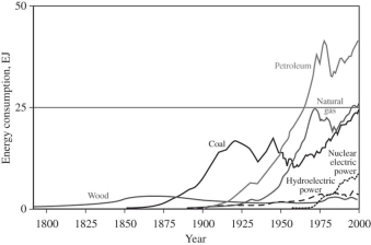 <strong>In the year 2000,which two energy sources contributed almost equally to our total energy usage?  </strong> A)coal and natural gas B)petroleum and natural gas C)petroleum and nuclear electric power D)coal and nuclear electric power <div style=padding-top: 35px> 