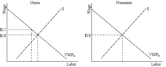 <strong> The pure union wage advantage in this market is:</strong> A)20% B)25% C)$2 D)More information is needed