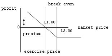 <strong>Which of the following statements best reflects the following profit profile of an option contract?  </strong> A) The profile depicts the short call position of the option seller. B) The profile depicts the long call position of the buyer of the option. C) The profile depicts the short put position of the option seller. D) The profile depicts the long put position of the buyer of the option. <div style=padding-top: 35px> 