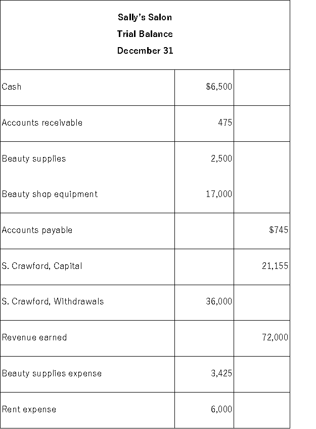 Based on the following trial balance for Sally's Salon,prepare an income statement,statement of owner's equity,and a balance sheet.Sally Crawford made no additional investments in the company during the year.
