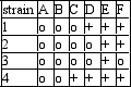 Assume that a series of compounds has been discovered in Neurospora.Compounds A-F appear to be members of an enzyme pathway.Several mutations have been identified and each of strains 1-4 contains a single mutation.Shown below are five possible pathways.Choose the pathway that best fits the data presented.[Growth in minimal media with supplements is shown by (+), no growth is shown by (o)] media supplement  