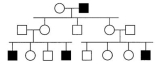 <strong>In the following pedigree, the indicated trait is caused by which type of allele? </strong> A)autosomal recessive B)autosomal dominant C)X-linked recessive D)X-linked dominant E)Y-linked