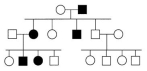 <strong>In the following pedigree, the indicated trait is caused by which type of allele? </strong> A)autosomal recessive B)autosomal dominant C)X-linked recessive D)X-linked dominant E)Y-linked