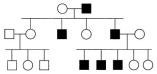 <strong>In the following pedigree, the indicated trait is caused by what type of allele? </strong> A)autosomal recessive B)autosomal dominant C)X-linked recessive D)X-linked dominant E)Y-linked