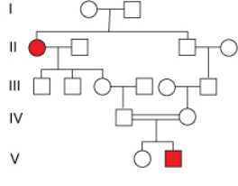<strong> What does the pattern of inheritance in this pedigree indicate about the disease allele?</strong> A)The disease allele is recessive B)The disease allele is dominant C)There is no indication that the disease allele is either dominant or recessive D)The disease allele is not inherited but only arises by a new mutation in those individuals that are affected.