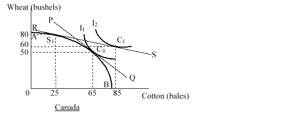 <strong>In the figure given below AB is the production-possibility curve of Canada. In the absence of trade, the price ratio is 1 bushel of wheat/bale of cotton as shown by the line PQ. The international price ratio is 0.25 bushels of wheat/bale of cotton as shown by the line RS. I<sub>1 </sub>and I<sub>2</sub> are the pre-trade and the post trade community indifference curves of Canada respectively. Which of the following can be inferred from this figure? </strong> A)Canada has a comparative advantage in the production of wheat. B)Canada has a comparative advantage in the production of cotton. C)Canada has an absolute disadvantage in the production of both the goods. D)Canada has absolute advantage in the production of both the goods.
