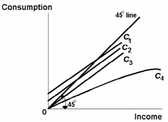 <strong> Refer to the above diagram.The APC diminishes as income increases for:</strong> A) none of the consumption schedules shown. B) C<sub>3</sub> only. C) C<sub>1</sub>,and C<sub>2</sub>. D) C<sub>4</sub> only.