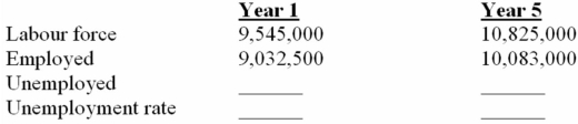 (a)How is it possible that both employment and unemployment increased? (b)Would you say that year 5 was a year of full employment? (c)Why is the task of maintaining full employment over the years more than just a problem of finding jobs for those who happen to be unemployed at any given time? (a)The labour force increased more than employment increased. (b)Yes,the unemployment rate of 6.9% is within the 6-7% range considered to be full employment. (c)The number of people looking for work expands.