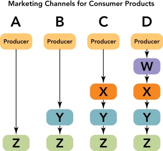 Figure 15-3 -Figure 15-3 above depicts four common marketing channels for consumer products and services that differ by the kind and number of intermediaries.Channel C would be an appropriate marketing channel for __________.
