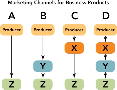 Figure 15-4 -Figure 15-4 above depicts the four most common marketing channels for business products and services.Z represents