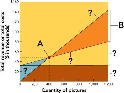   Figure 13-12 -According to Figure 13-12 above,how much profit will the firm make if it sells 400 pictures?