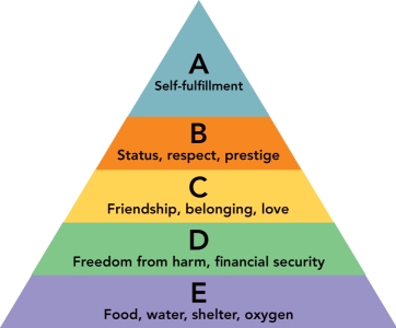 Figure 5-5 -According to Figure 5-5 above,the need for food,water,shelter,and oxygen would be found in what level of the hierarchy of needs?