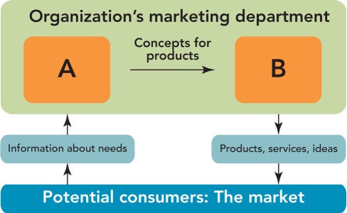 <strong> Figure 1-3 Figure 1-3 above,A represents __________ and B represents __________.</strong> A) management; shareholders B) employees; stakeholders C) sales; manufacturing D) R&D; customers E) discovering consumer needs; satisfying consumer needs
