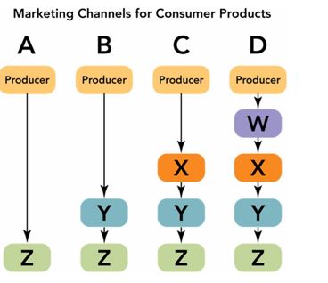 <strong> Figure 12-3 above depicts four common marketing channels for consumer products and services that differ by the kind and number of intermediaries. Channel B would be an appropriate marketing channel for which of the following?</strong> A)State Farm insurance services B)Schwan direct-to-home food products C)Toyota automobiles D)John Deere construction machinery E)Hershey's candy