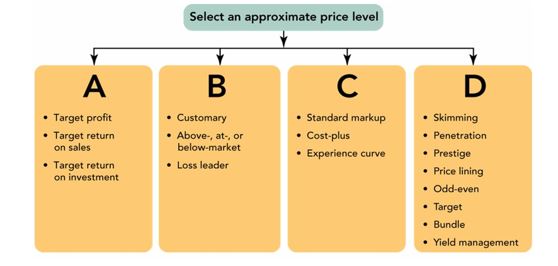 <strong> Which of the following statements about the price-setting process is most accurate?</strong> A)When selecting a strategy for setting an initial price, it does not matter which one you use as long as you stick with it. B)Sometimes pricing strategies overlap, and a seasoned marketer will consider several strategies when choosing an approximate price level. C)Demand-oriented pricing approaches rely heavily on competitors' prices. D)Skimming pricing is a competition-oriented pricing strategy. E)Penetration pricing is the best pricing strategy for companies trying to meet the goals of a profit-oriented pricing approach.