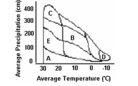<strong>Use the following graph to answer the question. Temperate forest biomes would fall in the area marked by the letter</strong> A) A B) B C) C D) D E) E