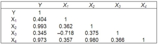 In a multiple regression analysis, the following correlation matrix was computed. What does the correlation matrix suggest about the independent variables?