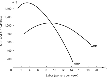 <strong>Refer to the following: A manger of a firm with market power faces the marginal revenue product and average revenue product curves shown below. The firm incurs weekly fixed costs of $1,800. The firm employs a single variable input, labor, which costs $600 per worker each week. -In order to maximize profit, the manager should hire ________ workers per week.</strong> A) 9 B) 10 C) 12 D) 18