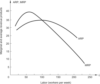 <strong>Refer to the following figure, showing the marginal revenue product (MRP) and the average revenue product (ARP) curves of a perfectly competitive firm hiring a single variable input, labor. -If the wage is $20, how many workers will the firm hire?</strong> A) 225 B) 175 C) 200 D) zero