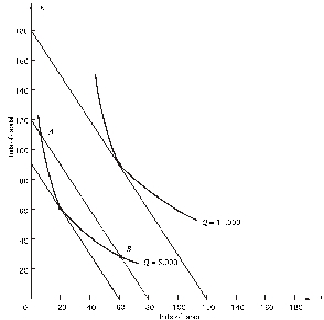 Refer to the following graph.The price of capital r)is $20. Why wouldn't the firm choose to produce 5,000 units of output with the combination at B?
