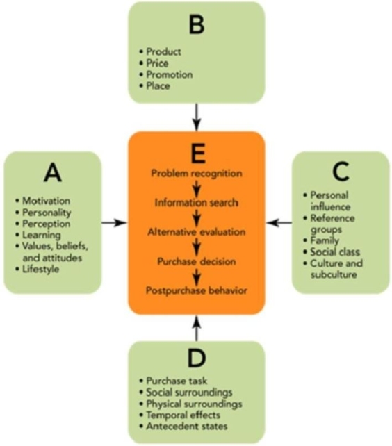 <strong>Reference: 05-03 Figure 5-3 In Figure 5-3, letter B represents the _ consumer purchase decision process. influences that can affect the</strong> A)situational B)economic C)marketing mix D)environmental
