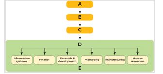 <strong>Figure 2-1 In Figure 2-1,C represents the</strong> A) strategic business unit level. B) board of directors. C) corporate level. D) functional level. E) CMO.